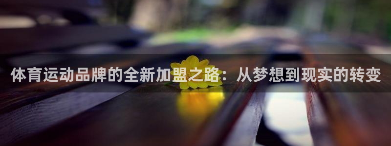 NBA直播吧极速体育：体育运动品牌的全新加盟之路：从梦想到现实的转变