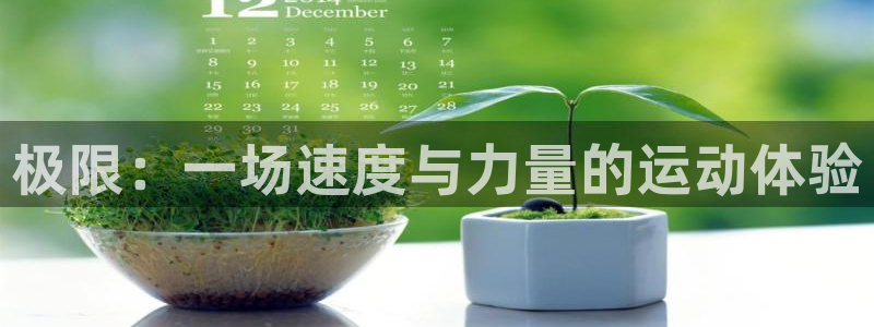 极速体育aba：极限：一场速度与力量的运动体验