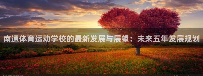体育吧极速体育：南通体育运动学校的最新发展与展望：未来五年发展规划