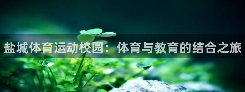 nba极速体育在线观看：盐城体育运动校园：体育与教育的结合之旅