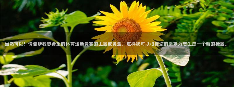 极速体育在线观看：当然可以！请告诉我您希望的体育运动竞赛的主题或类型，这样我可以根据您的需求为您生成一个新的标题。