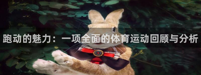 无插件直播极速体育：跑动的魅力：一项全面的体育运动回顾与分析
