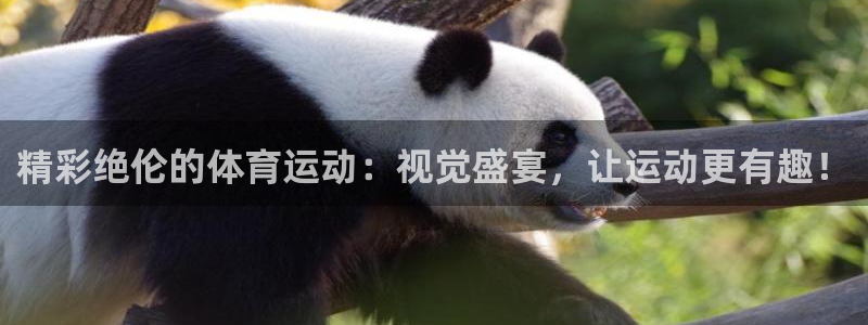 极速体育在线体育：精彩绝伦的体育运动：视觉盛宴，让运动更有趣！