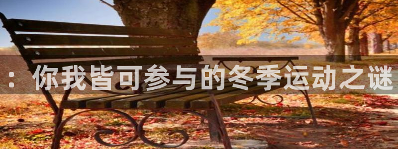 极速体育录像全场回放：：你我皆可参与的冬季运动之谜
