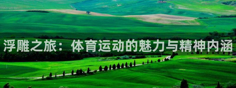 体育吧极速体育：浮雕之旅：体育运动的魅力与精神内涵